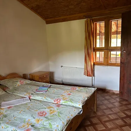 чевермето * Palitsi