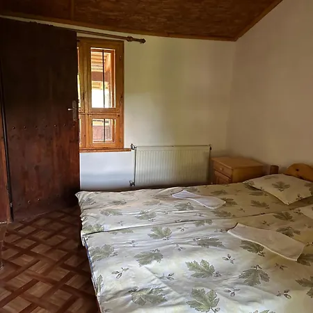 чевермето 招待所 Palitsi