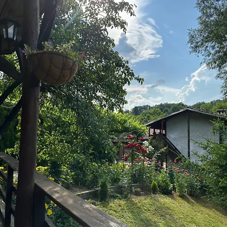 чевермето Palitsi