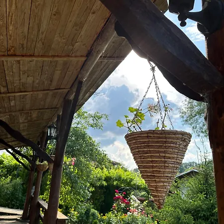 чевермето * Palitsi