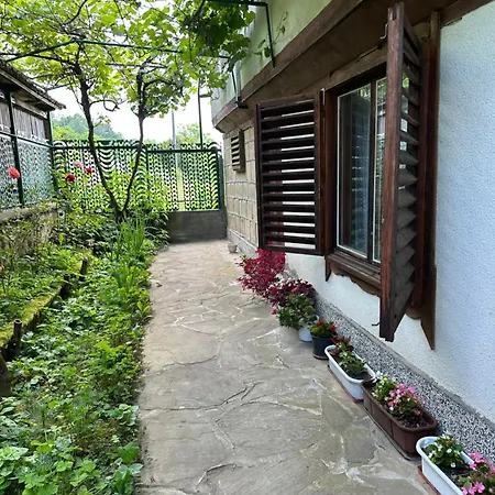 招待所 чевермето Palitsi