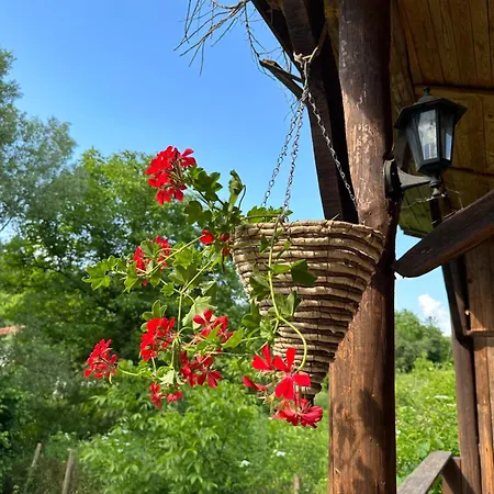 чевермето *