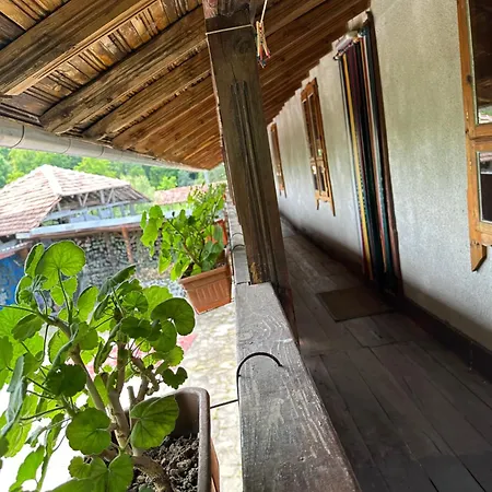 招待所 чевермето *