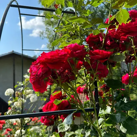 招待所 чевермето *