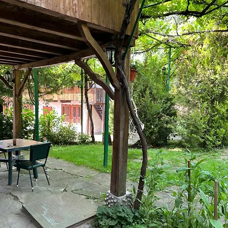 чевермето Palitsi