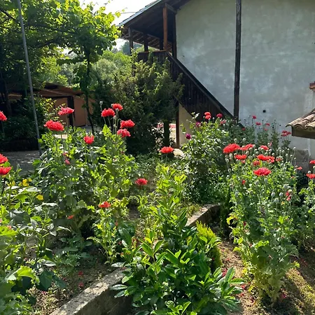 чевермето Palitsi