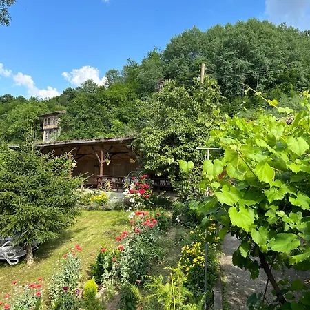 чевермето *