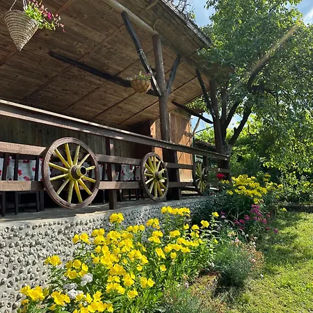 чевермето Palitsi