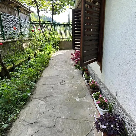 ゲストハウス чевермето Palitsi