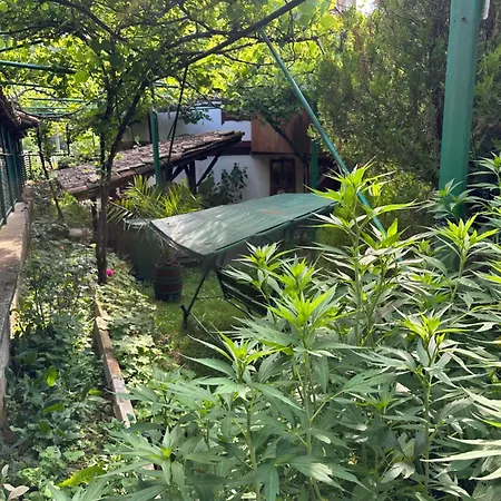 чевермето *