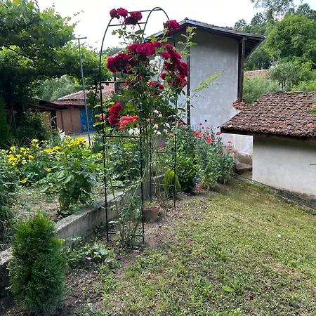 чевермето 招待所 Palitsi