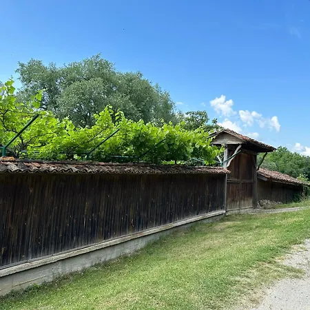 招待所 чевермето Palitsi