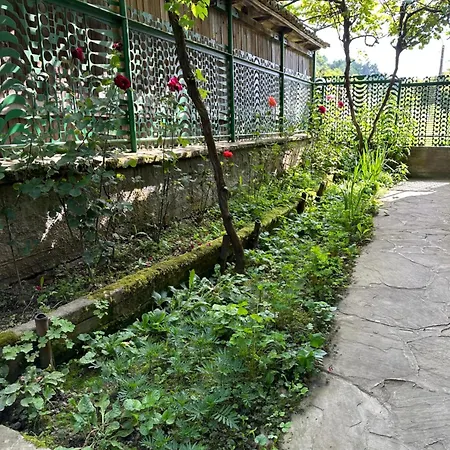 чевермето * Palitsi