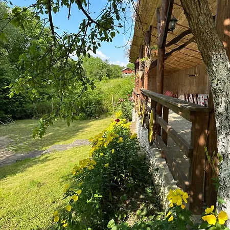 招待所 чевермето