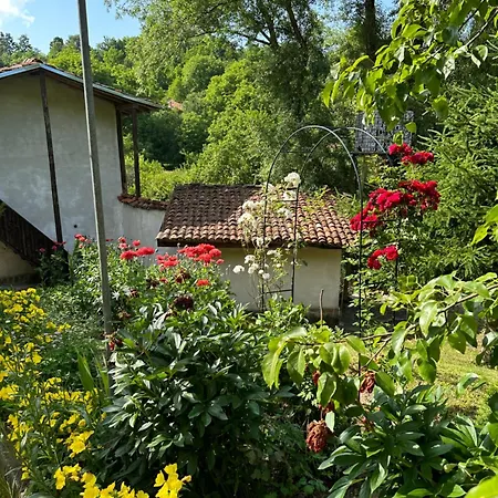 чевермето 招待所 Palitsi