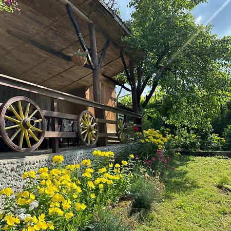 招待所 чевермето