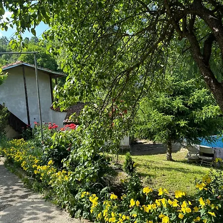 招待所 чевермето Palitsi