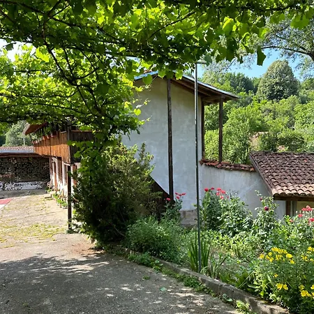 чевермето 招待所 Palitsi