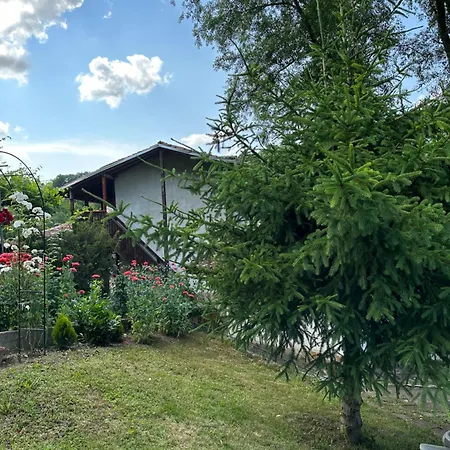 чевермето 招待所 Palitsi