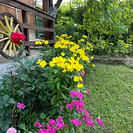 чевермето 招待所 Palitsi