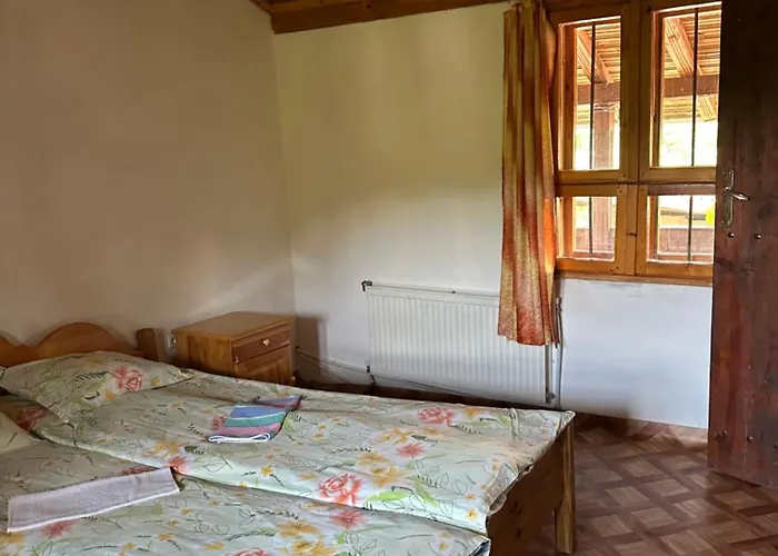 чевермето * Palitsi