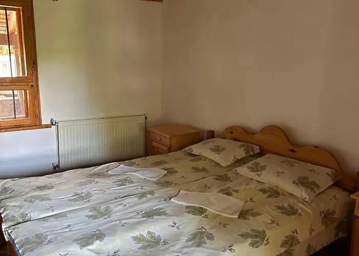 чевермето * Palitsi