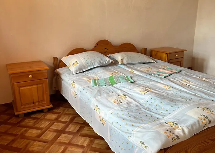 чевермето Palitsi