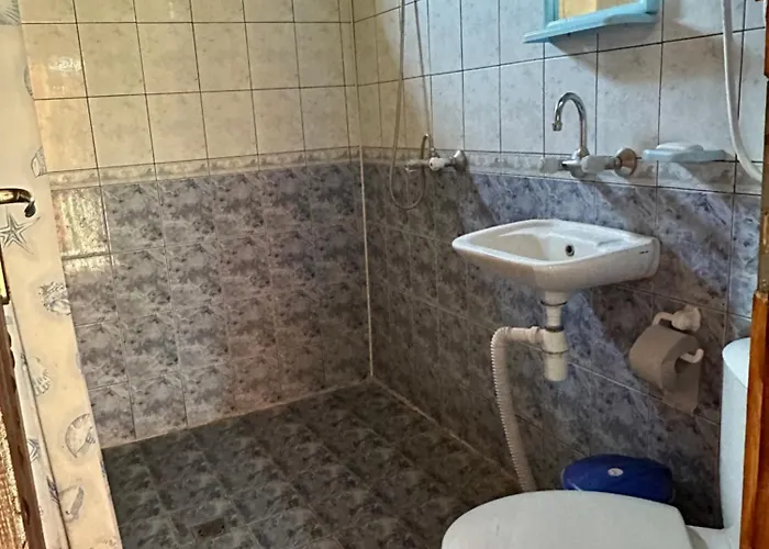 чевермето Palitsi