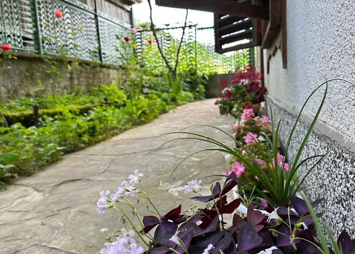 чевермето Gæstehus