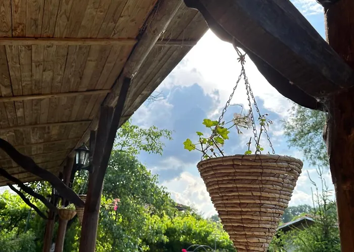 чевермето * Palitsi