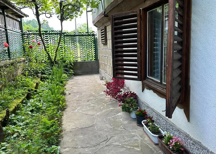 Gæstehus чевермето Palitsi