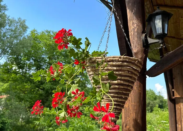 чевермето *