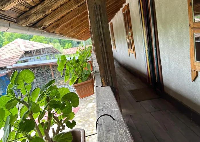 Gæstehus чевермето *