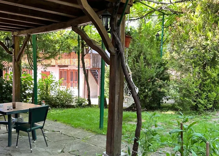 чевермето Palitsi