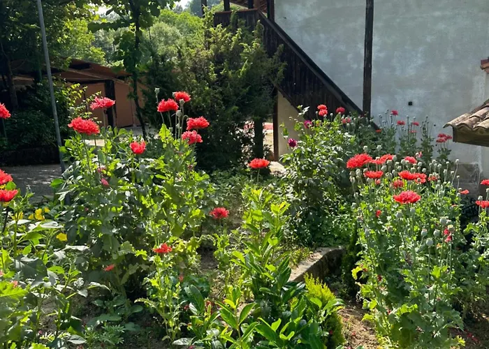 чевермето Palitsi