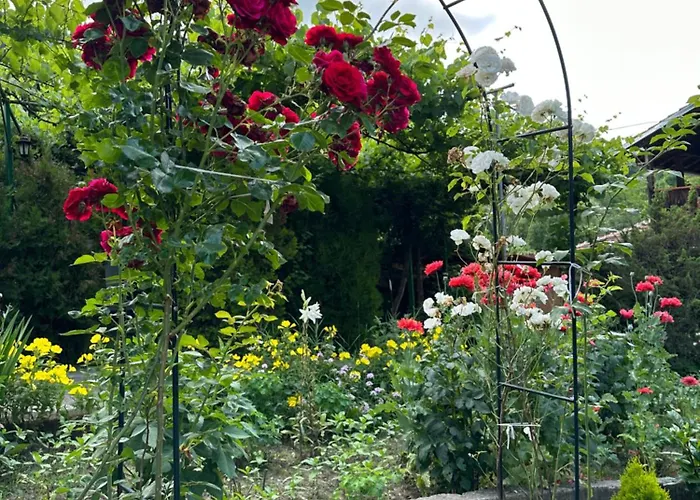 чевермето Gæstehus