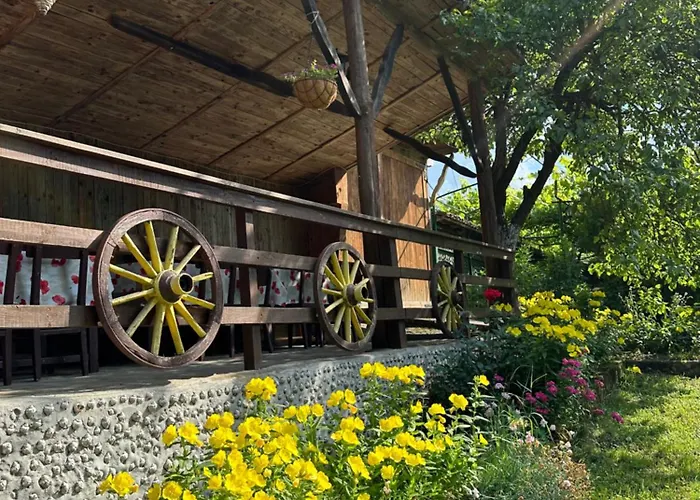 чевермето Palitsi