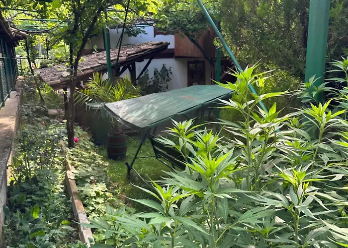 чевермето *