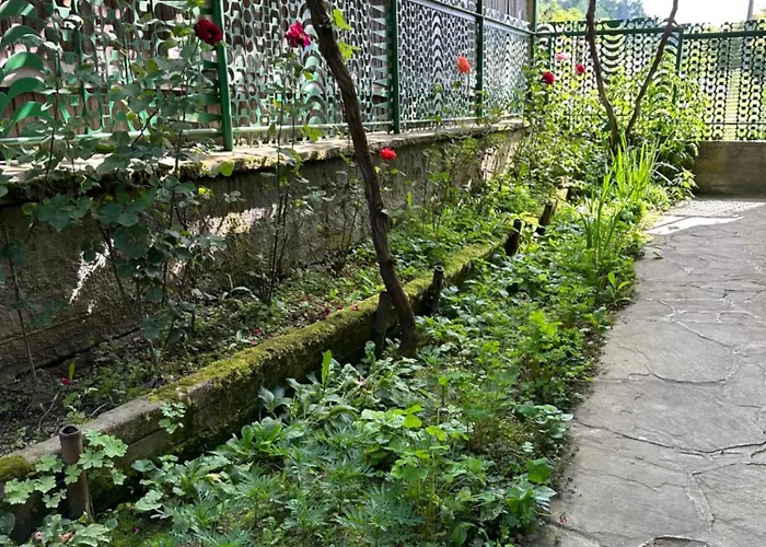 чевермето * Palitsi