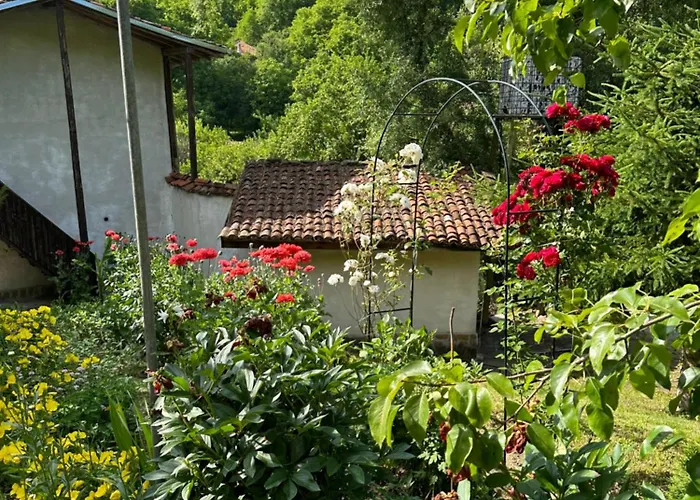 чевермето Gæstehus Palitsi