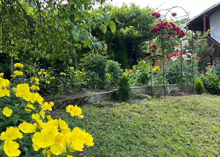 Gæstehus чевермето Palitsi