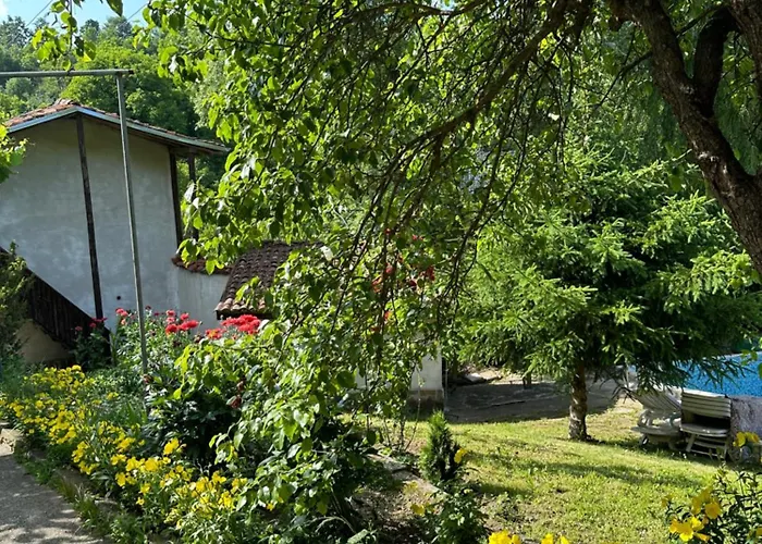 Gæstehus чевермето Palitsi